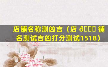 店铺名称测凶吉（店 🐞 铺名测试吉凶打分测试1518）